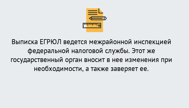 Почему нужно обратиться к нам? Заволжье Выписка ЕГРЮЛ в Заволжье ?